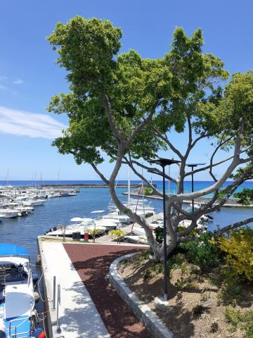 port sain gilles Réunion éclairage solaire