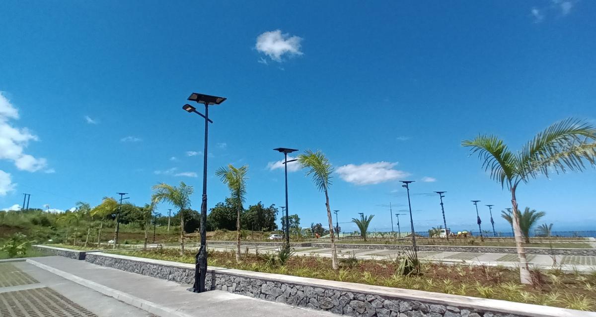 la-réunion-parc-palmiers